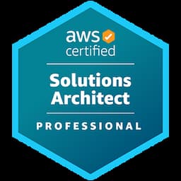 AWS Certified Solutions Architect Professional